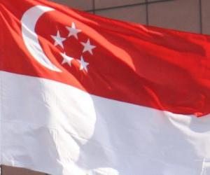 yapboz Singapur bayrağı